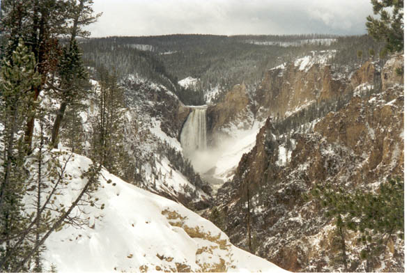 yellowstone6