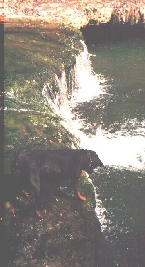 Her 1st time to play in water