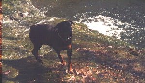 Her 1st time to play in water