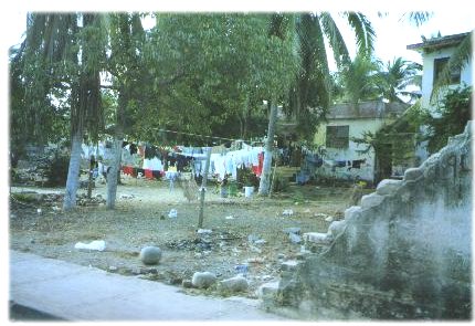 backyard laundry