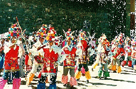 Danza Tipica de la Regin