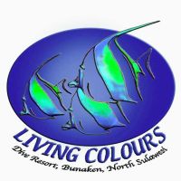 Living Colours Diving Bunaken