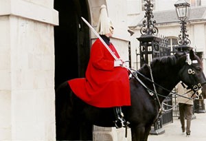 Horse guards