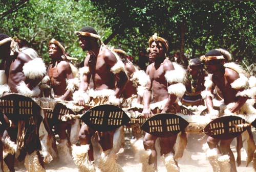 Traditional Zulu Dance (50KB)