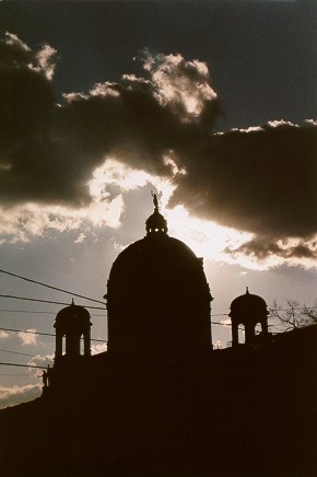 Nature historical museum