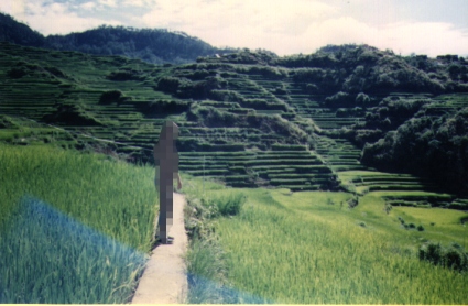 Setting foot on the rice terraces.