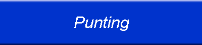 Punting