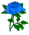 [Blue Rose]