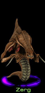 ZERG.gif (12977 bytes)