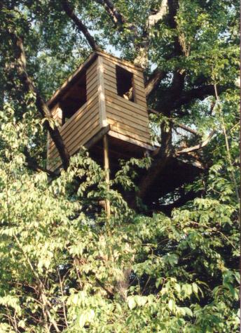 Treehouse