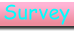 Survey