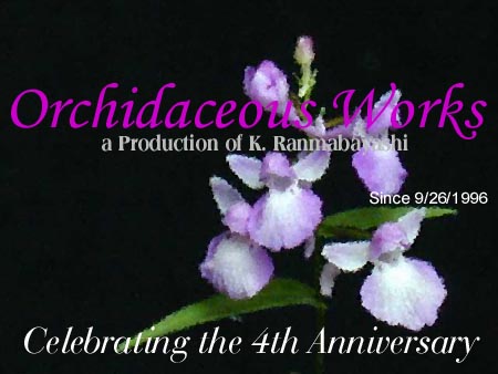 Orchidaceous Works 4th Anniversary