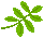 leaf.gif (235 bytes)