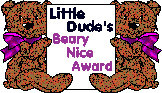 Little Dude's Beary Nice Award