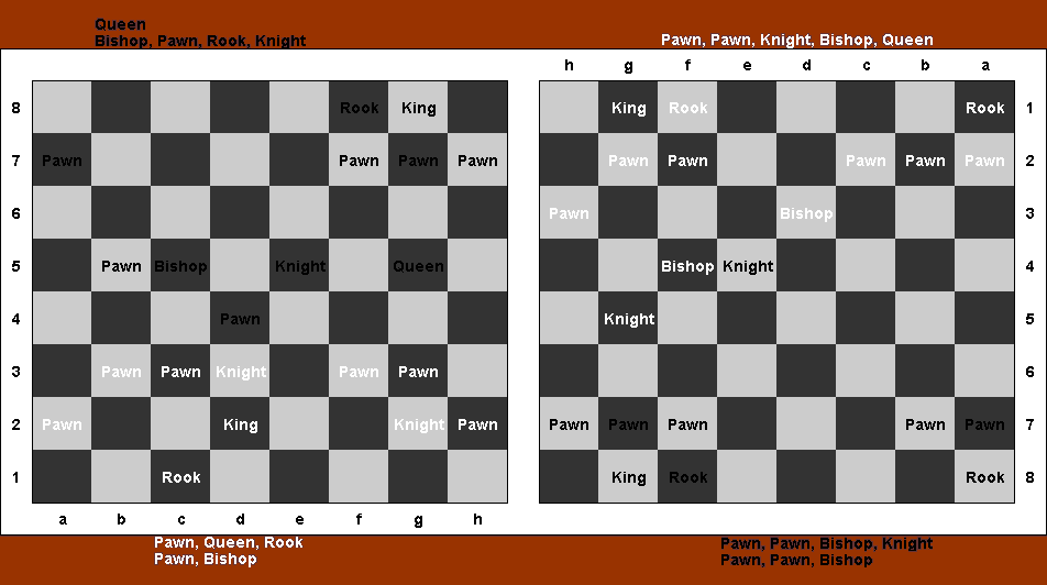 Tandem Chess King Checked by Queen on g5 (19k)