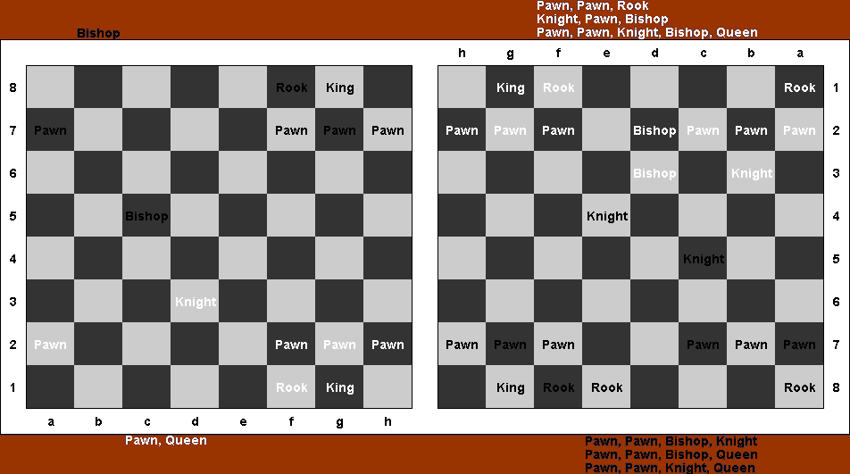 Tandem Chess Open House on Left Side (19k)