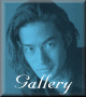 Gallery - M]