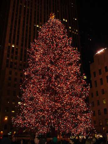 XmasTree at Rockefeller Plaza 1999