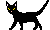 blackcat