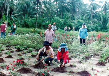 Si Mayor Lil (nakapula) nan Kgd. Paring sa pagmantiner san Eco-Garden sa Central Nursery.