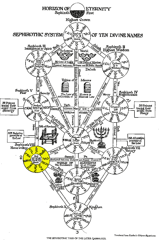 the tree of life by Kircher