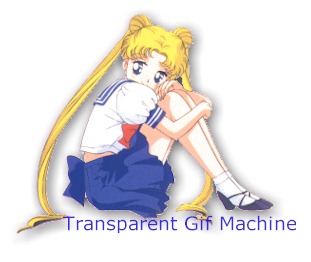 transmach.jpg (20544 Byte)