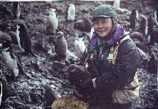 With the penguins in Antarctica