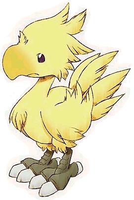 [chocobo]