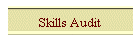 Skills Audit