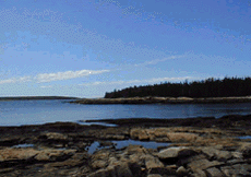 Wanderland, Acadia National Park