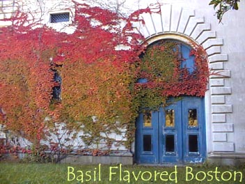 Basil Flavored Boston