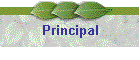 Principal