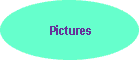 Pictures