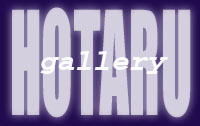 Hotaru Gallery