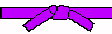 purple.gif (1108 bytes)