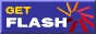 Get Flash Plugin