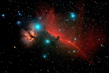 horsehead.jpg(656752 byte)