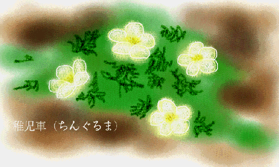 Alpineflowers_2