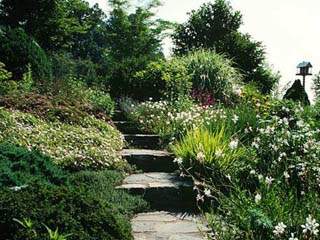 stairs leading to somewhere