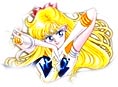 Beautifully Drawn Sailorvenus