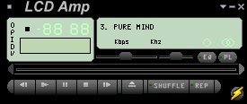 LCD Amp skin screen shoot