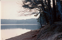 Walden Pond in Concord, MA