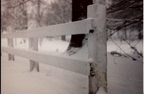 Snow Fence