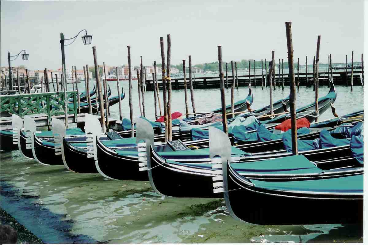 Venezia - Rows of gondolas near Piazza San Marco