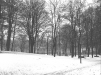 Milano: Parco Sempione, gennaio 1976