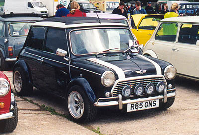 Mini1.jpg (45471 bytes)