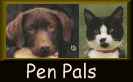 Pen Pals