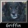 Griffin