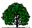 oaktree3.gif (1646 bytes)