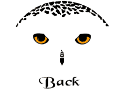 owlback.gif (2229 bytes)